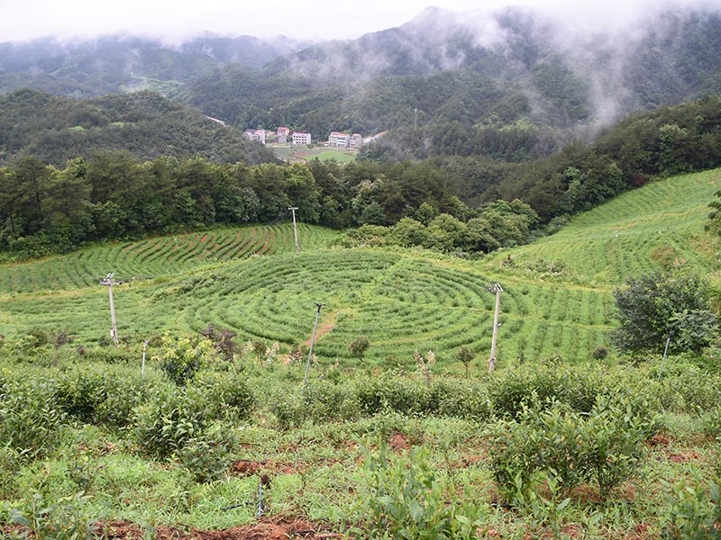 淄博基地照片-15